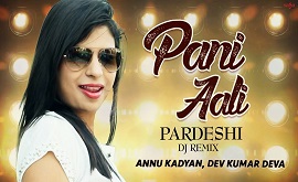 Pani Aali Remix DJ Song